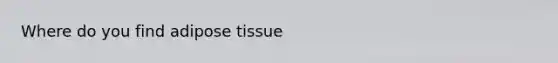 Where do you find adipose tissue