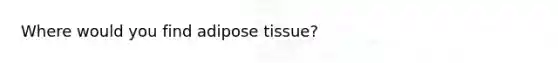 Where would you find adipose tissue?