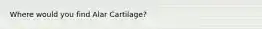 Where would you find Alar Cartilage?