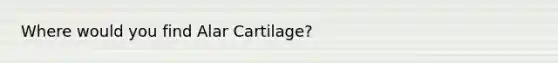 Where would you find Alar Cartilage?