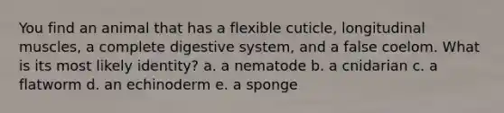 You find an animal that has a flexible cuticle, longitudinal muscles, a complete digestive system, and a false coelom. What is its most likely identity? a. a nematode b. a cnidarian c. a flatworm d. an echinoderm e. a sponge