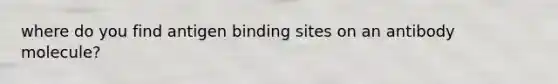 where do you find antigen binding sites on an antibody molecule?