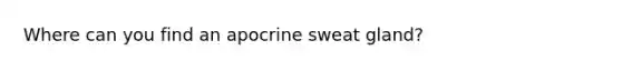 Where can you find an apocrine sweat gland?