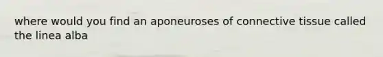 where would you find an aponeuroses of connective tissue called the linea alba