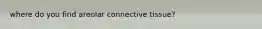 where do you find areolar connective tissue?