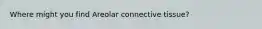 Where might you find Areolar connective tissue?