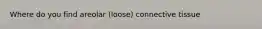 Where do you find areolar (loose) connective tissue