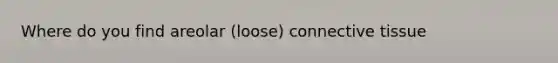 Where do you find areolar (loose) connective tissue