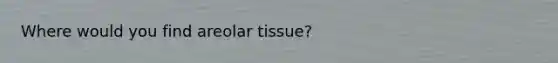 Where would you find areolar tissue?