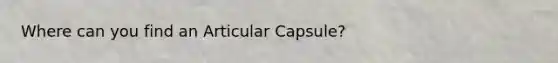 Where can you find an Articular Capsule?