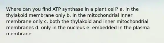 Where can you find ATP synthase in a plant cell?​ a. ​in the thylakoid membrane only b. in the mitochondrial inner membrane only​ c. both the thylakoid and inner mitochondrial membranes​ d. only in the nucleus​ e. ​embedded in the plasma membrane