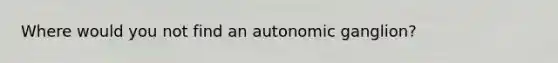 Where would you not find an autonomic ganglion?