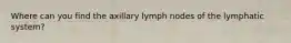 Where can you find the axillary lymph nodes of the lymphatic system?