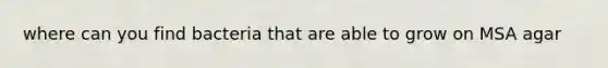 where can you find bacteria that are able to grow on MSA agar