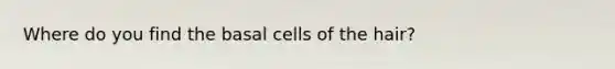 Where do you find the basal cells of the hair?