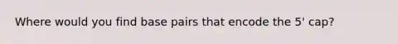 Where would you find base pairs that encode the 5' cap?