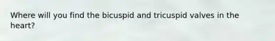 Where will you find the bicuspid and tricuspid valves in the heart?