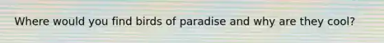 Where would you find birds of paradise and why are they cool?