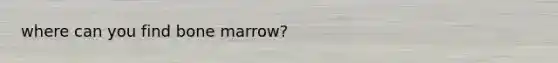 where can you find bone marrow?