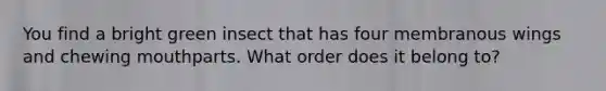 You find a bright green insect that has four membranous wings and chewing mouthparts. What order does it belong to?