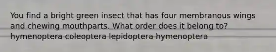 You find a bright green insect that has four membranous wings and chewing mouthparts. What order does it belong to? hymenoptera coleoptera lepidoptera hymenoptera