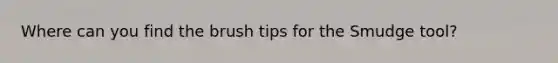 Where can you find the brush tips for the Smudge tool?