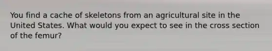 You find a cache of skeletons from an agricultural site in the United States. What would you expect to see in the cross section of the femur?