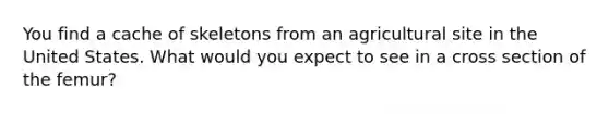 You find a cache of skeletons from an agricultural site in the United States. What would you expect to see in a cross section of the femur?