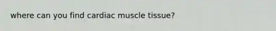 where can you find cardiac muscle tissue?