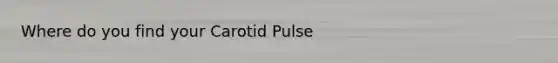 Where do you find your Carotid Pulse