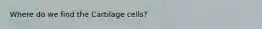 Where do we find the Cartilage cells?