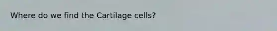 Where do we find the Cartilage cells?