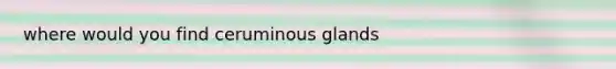 where would you find ceruminous glands