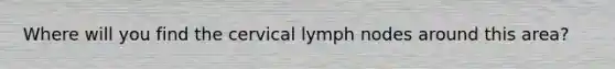 Where will you find the cervical lymph nodes around this area?