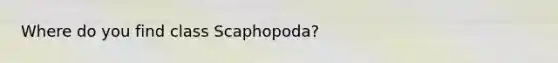 Where do you find class Scaphopoda?