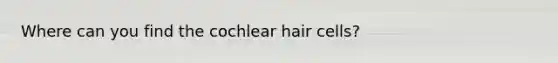 Where can you find the cochlear hair cells?