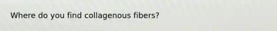 Where do you find collagenous fibers?