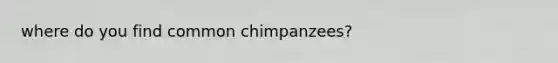 where do you find common chimpanzees?