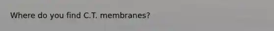 Where do you find C.T. membranes?