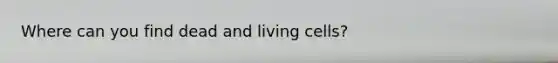 Where can you find dead and living cells?