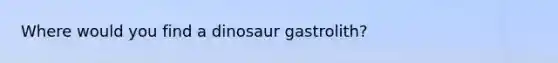 Where would you find a dinosaur gastrolith?