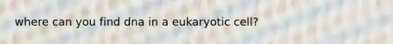 where can you find dna in a eukaryotic cell?