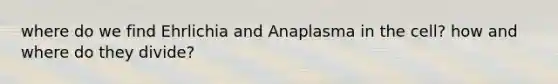 where do we find Ehrlichia and Anaplasma in the cell? how and where do they divide?