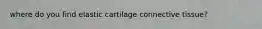 where do you find elastic cartilage connective tissue?