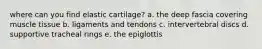 where can you find elastic cartilage? a. the deep fascia covering muscle tissue b. ligaments and tendons c. intervertebral discs d. supportive tracheal rings e. the epiglottis