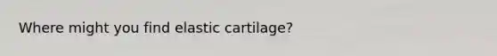 Where might you find elastic cartilage?