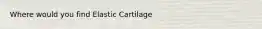 Where would you find Elastic Cartilage