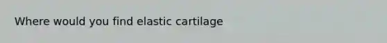 Where would you find elastic cartilage