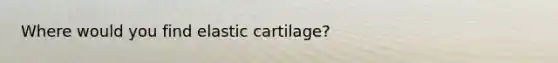 Where would you find elastic cartilage?