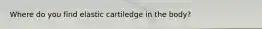 Where do you find elastic cartiledge in the body?